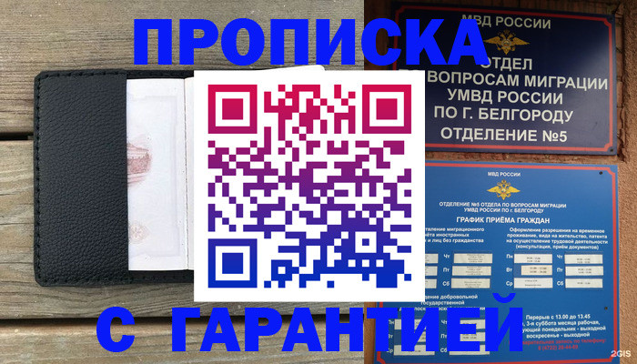 купить прописку в Амурской области